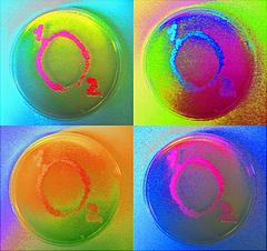 oxigen