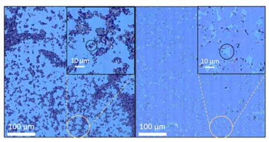 acs nano perez 2023 fig3