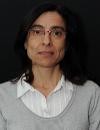 Rodríguez Fernández